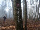 15. povratak
